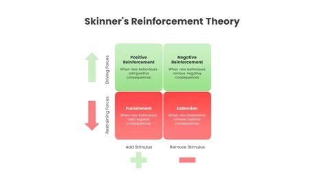 增強物種類|增強理論（reinforcement theory）